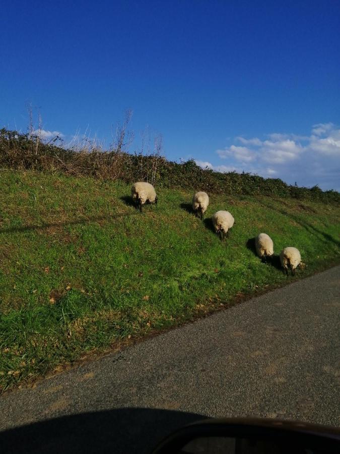 Au Repos Du Verger Couvrelles Exteriér fotografie